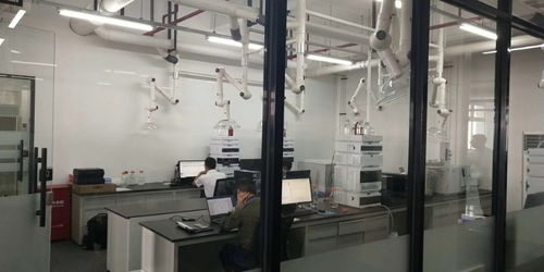 閔行獨(dú)棟1350平可分割精裝修廠房 一站式解決倉儲(chǔ)、生產(chǎn)與土地需求